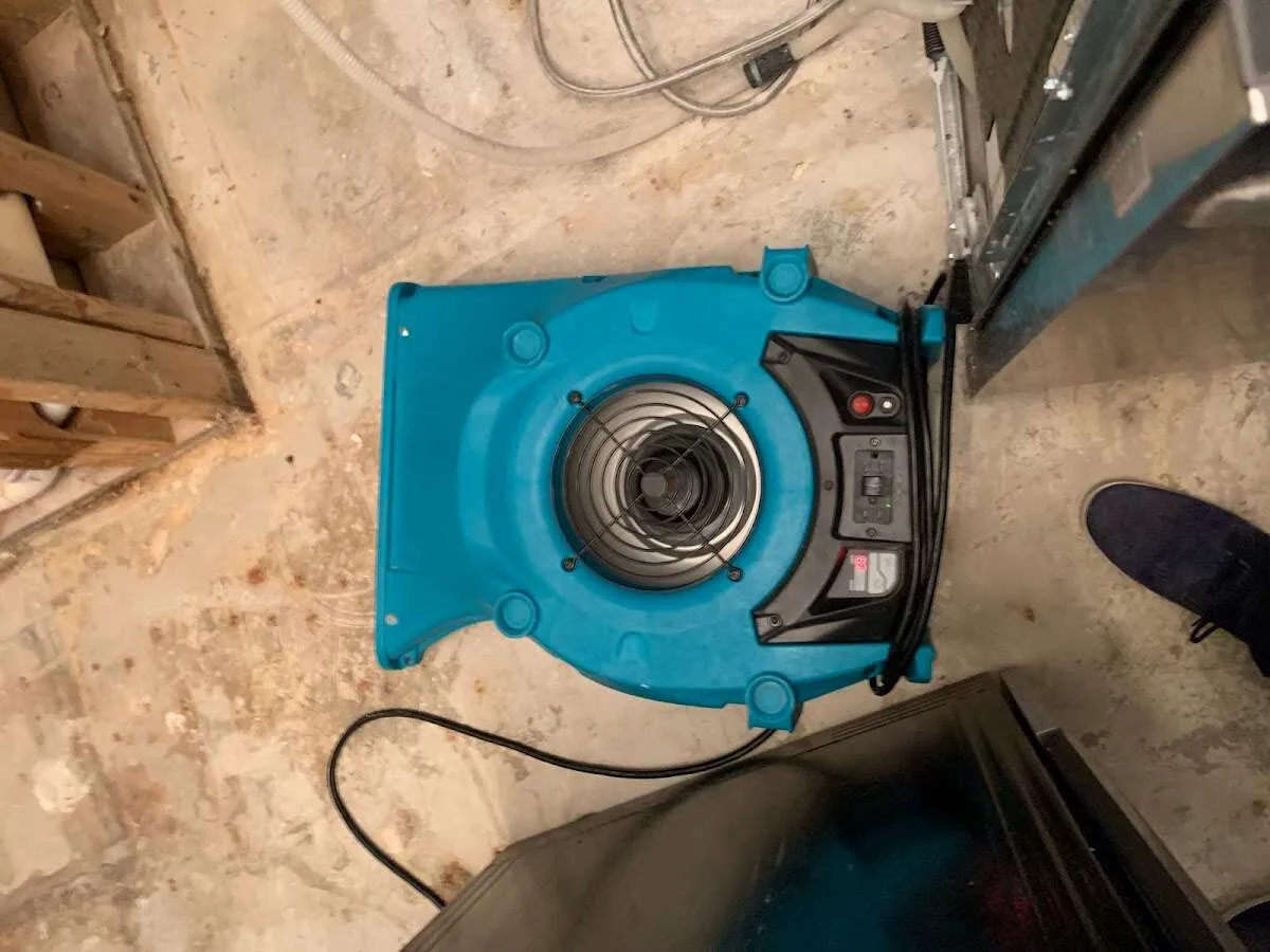 Air mover drying equipment for Mold Remediation & Removal in Lake Havasu City